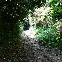山道