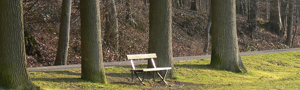 ブリュッセル、テレビューン公園のベンチ