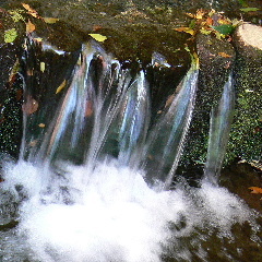 武蔵野の湧水