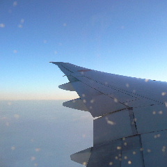 旅客機の翼