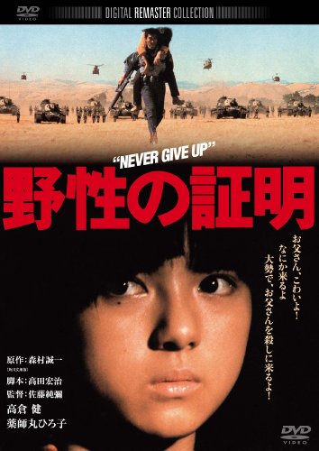 野生の照明
