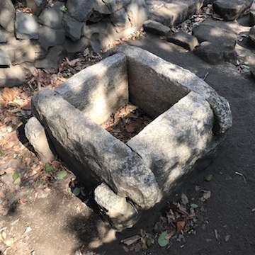 公園の巨石