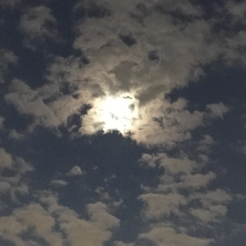 雲に隠れた月