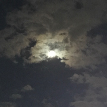 霞に隠れた月