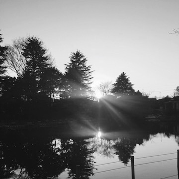 善福寺公園の池に沈む夕陽