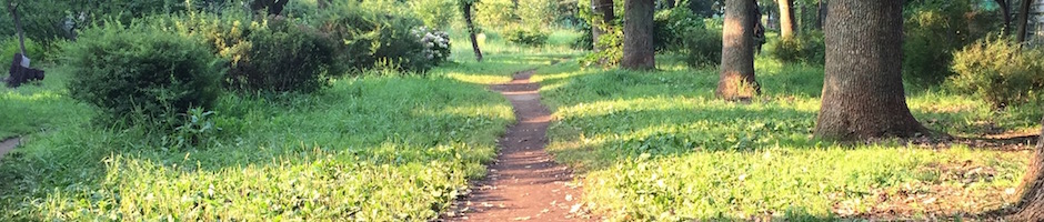 緑の散歩道