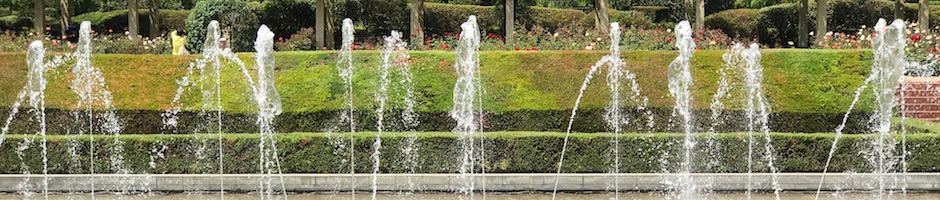 神代植物園の噴水