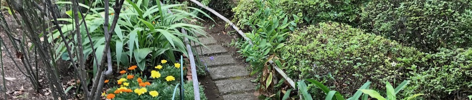 A氏の庭