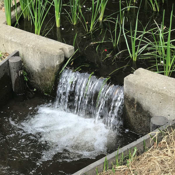 小さな滝