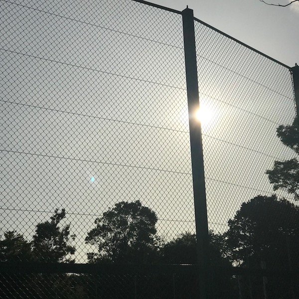 公園のフェンスに差し込む西陽