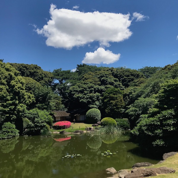 東京国立博物館、庭園
