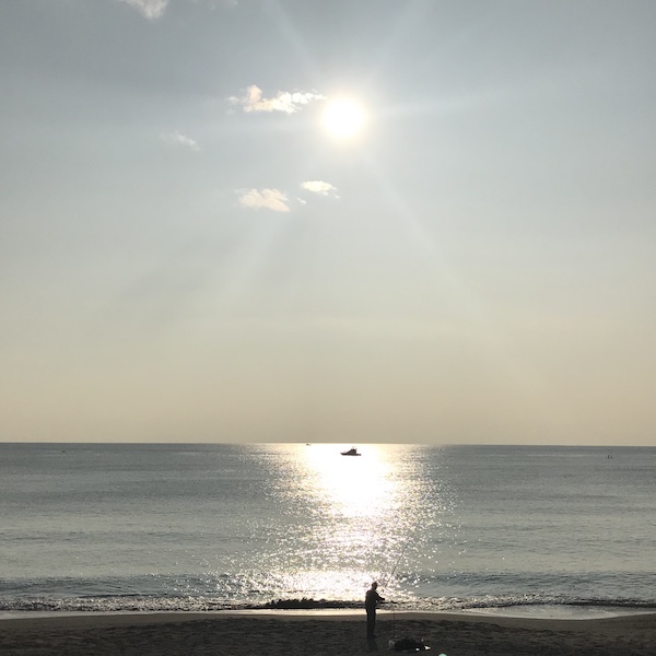 葉山の海