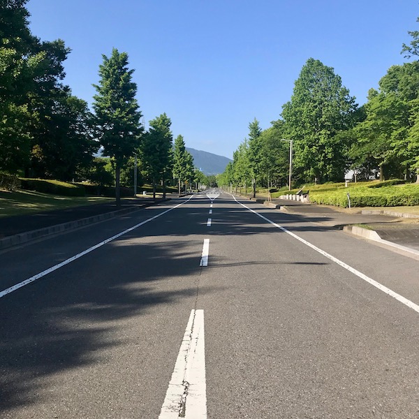つくばの道
