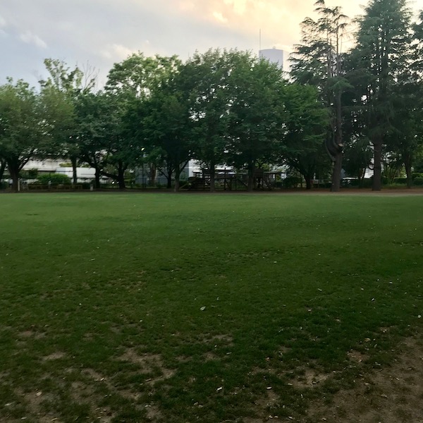 キャッチボールをした公園