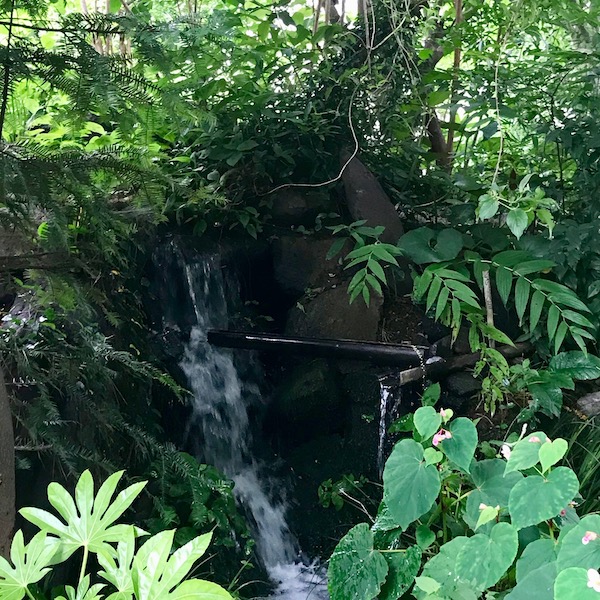 公園の小さな滝