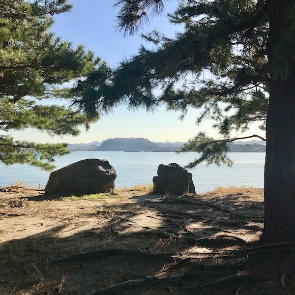 海の公園