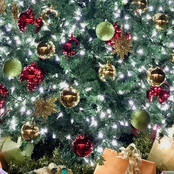気の早いクリスマスツリー