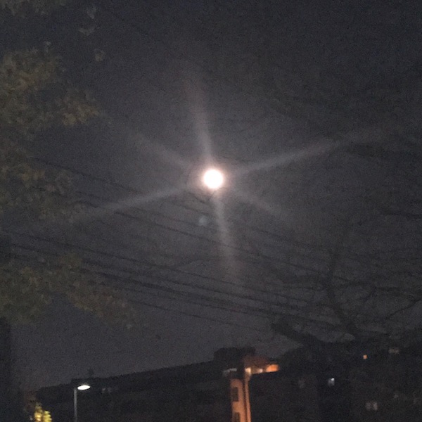 満月