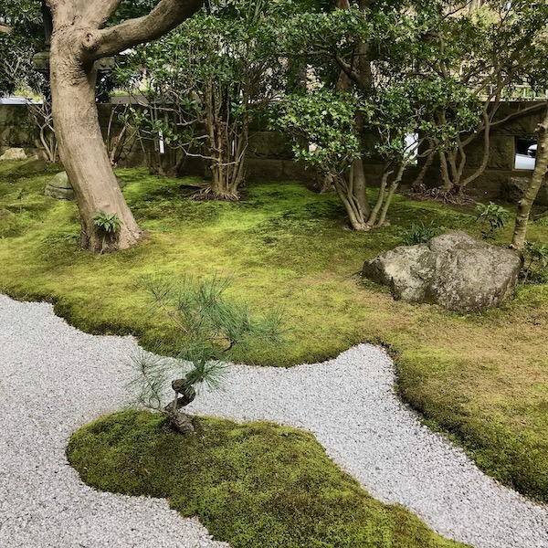 報国寺　庭園