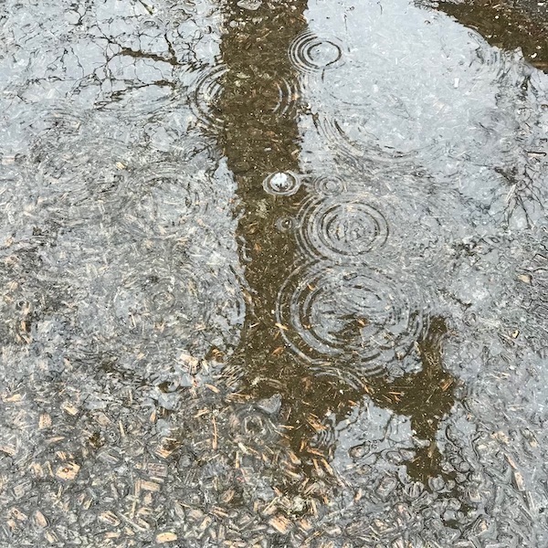 雨が降る公園の水たまり