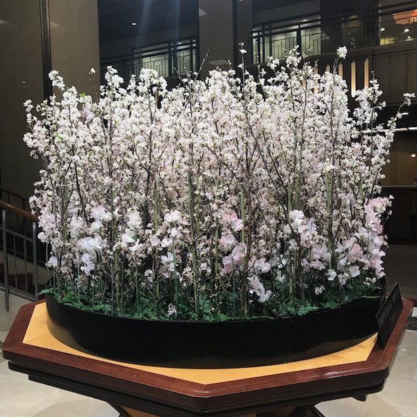 桜とスイートピーの生花