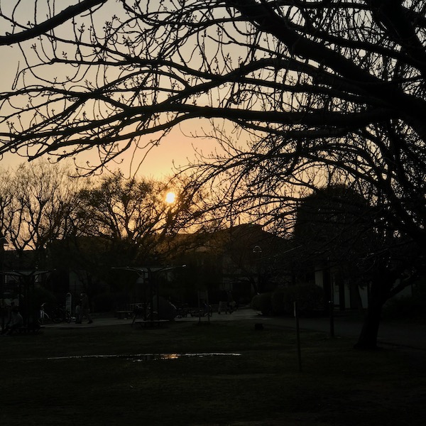 黄昏の公園