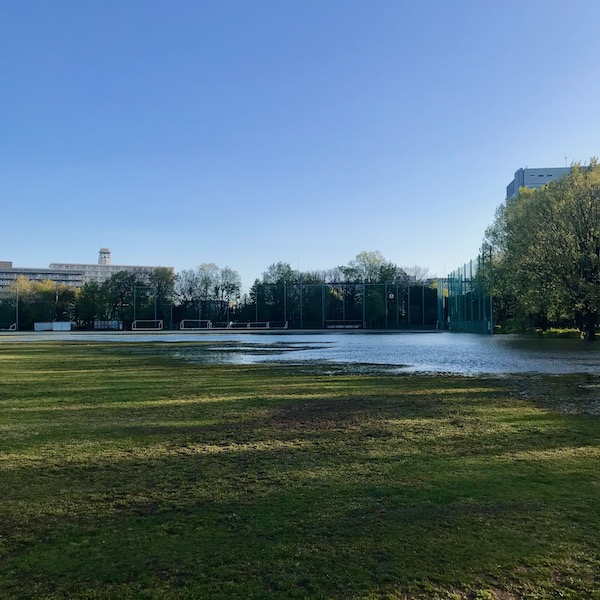 公園のたまり水