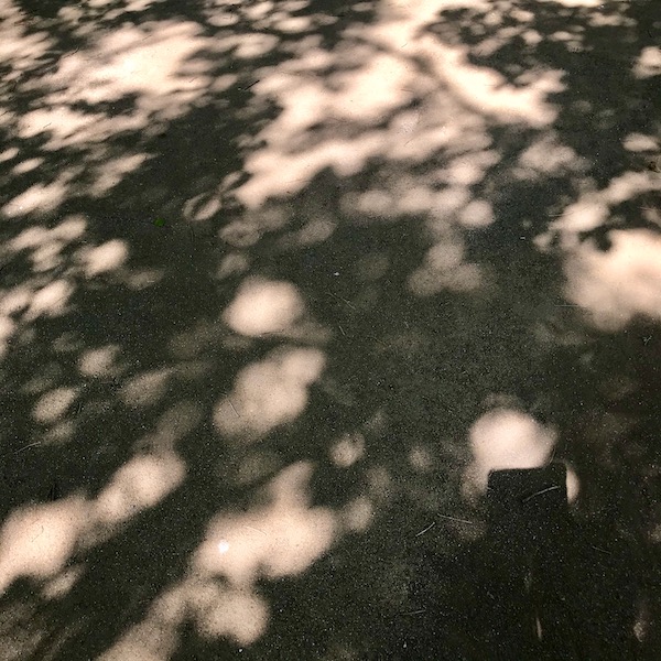 木漏れ日の影