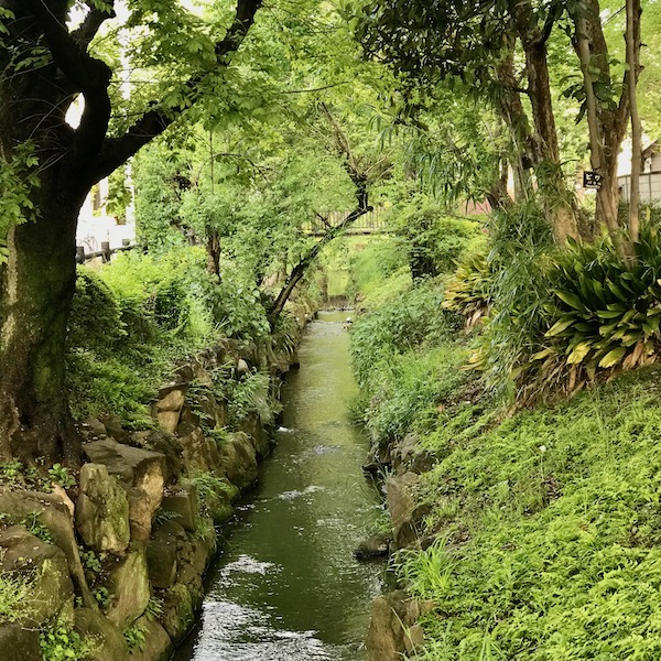 千川上水