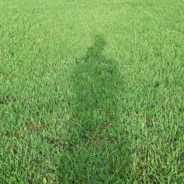 芝生の上の人影