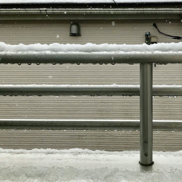 東京の初雪