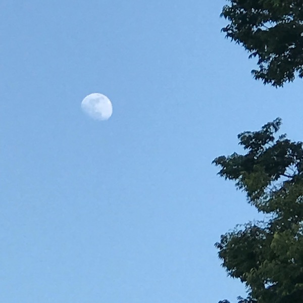 夏至の日の月