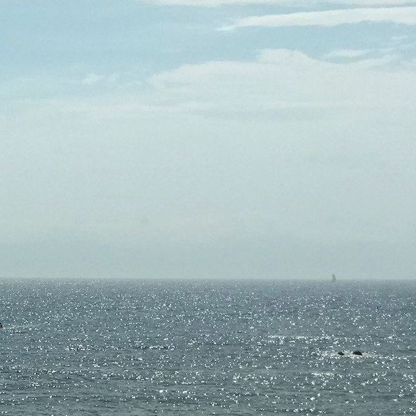 葉山公園から眺めた海