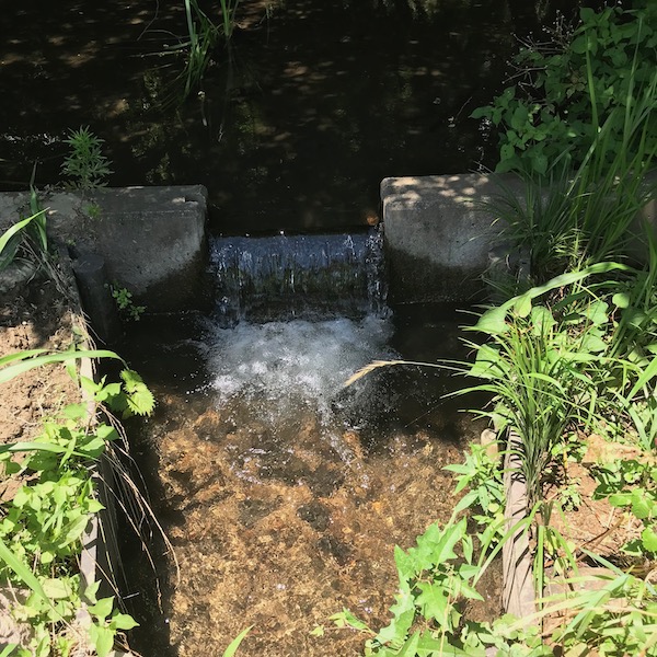 小さな滝