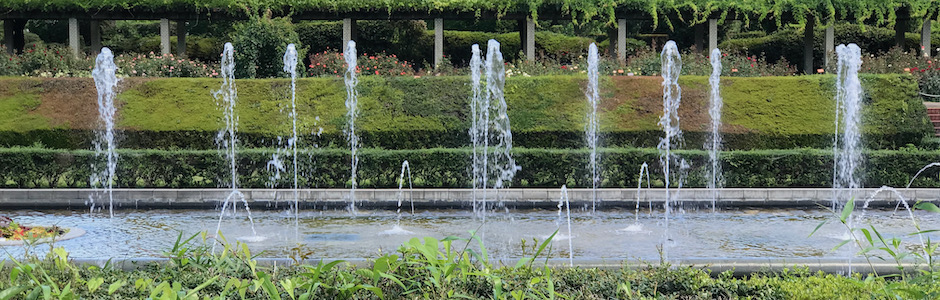 神代植物公園の噴水