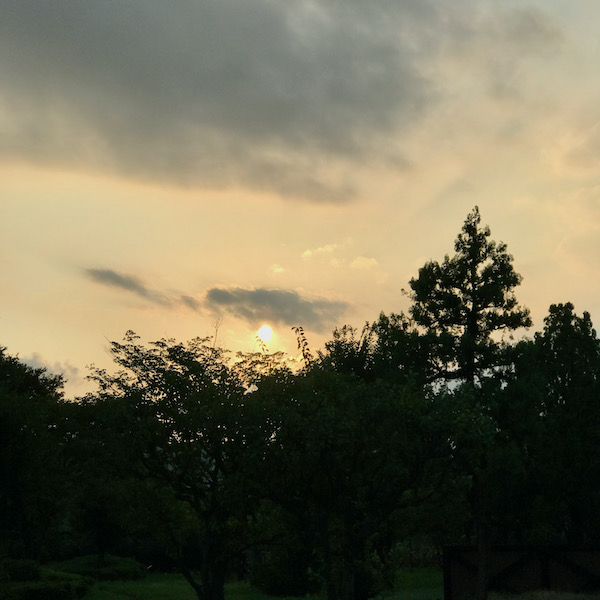 武蔵野中央公園の夕暮れ