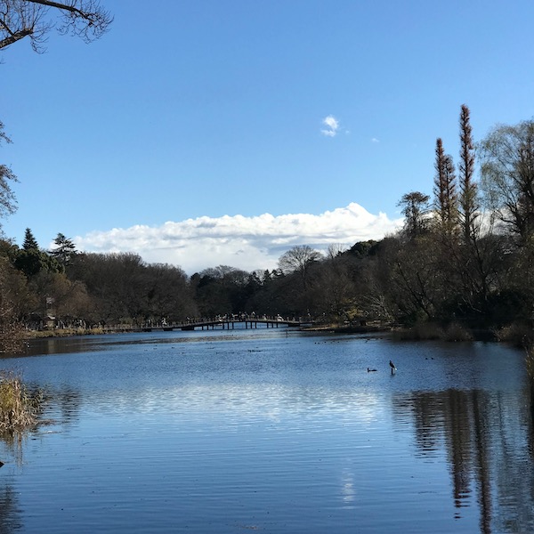井の頭公園