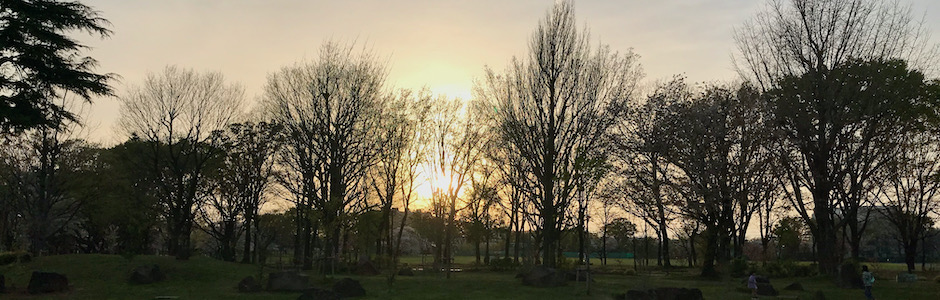 春の夕映え