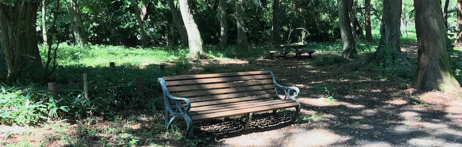 神代植物公園のベンチ