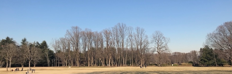 冬の小金井公園