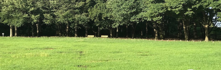 小金井公園