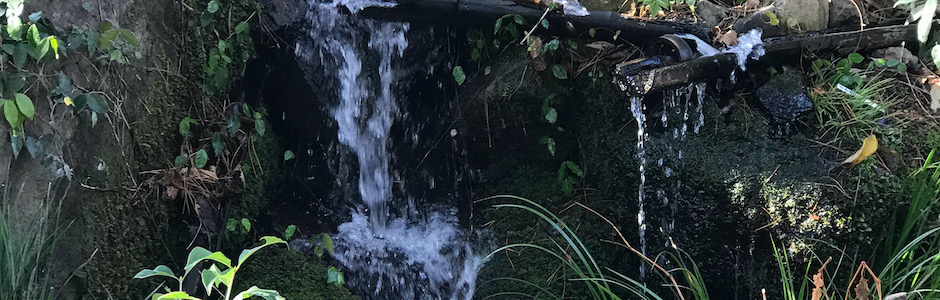 公園の小さな滝