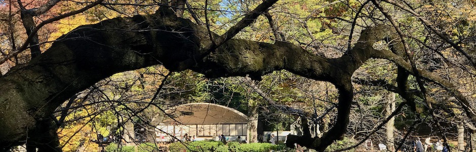 井の頭公園の野外舞台