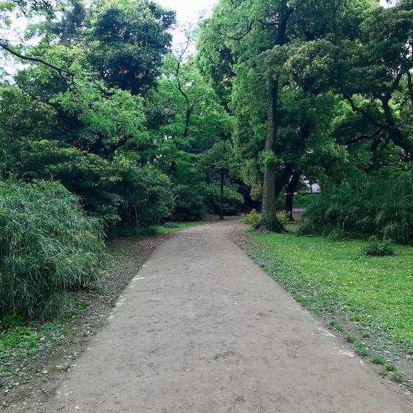 菖蒲