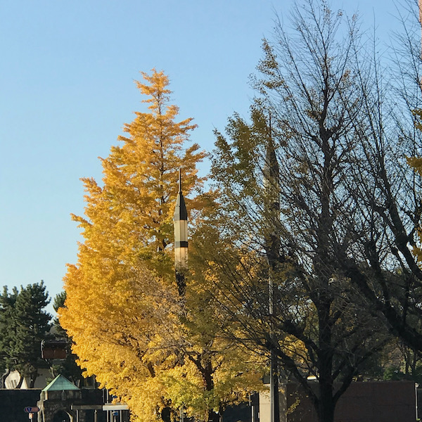 銀杏