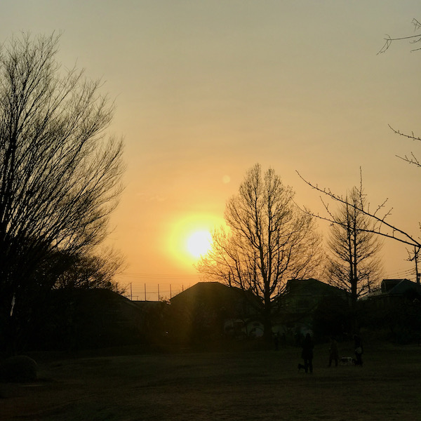立野公園の夕焼け