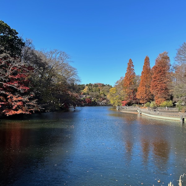 井の頭公園