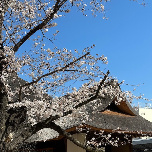 金沢東照宮跡