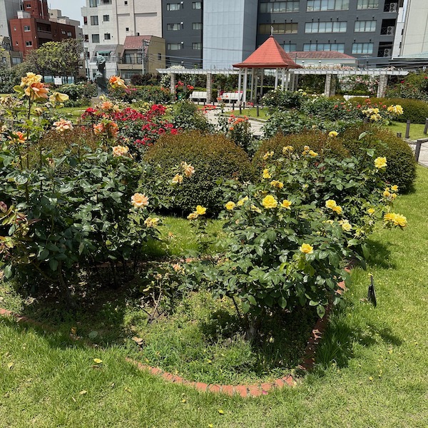 ばら園