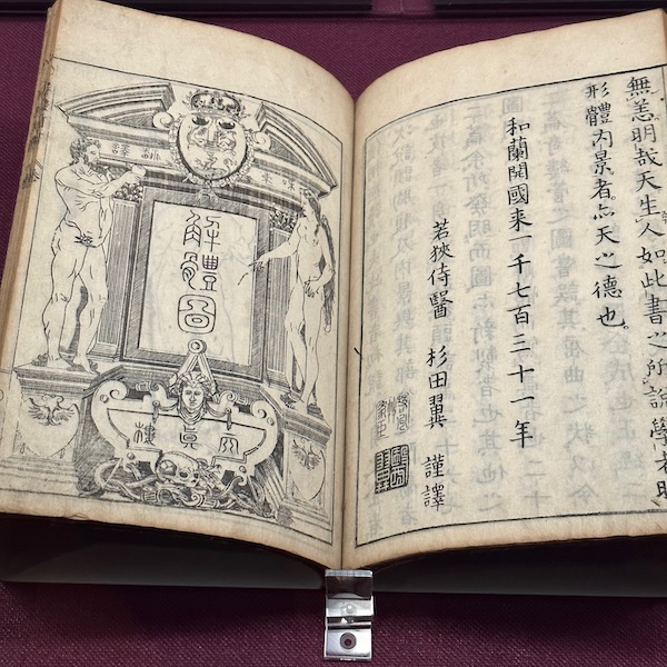 解体新書